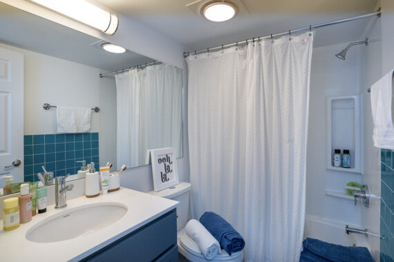 Bathroom with blue decor